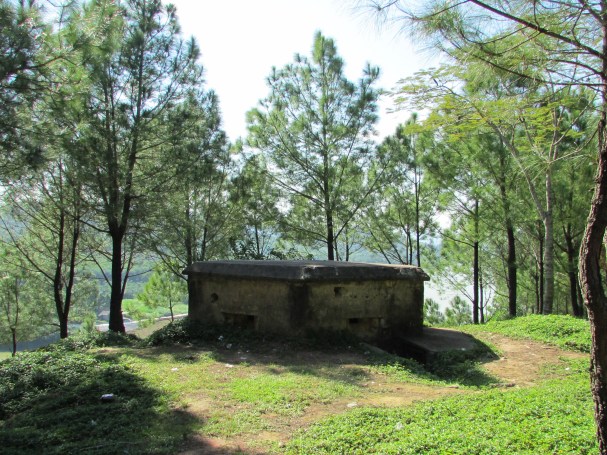 Hard pill to swallow