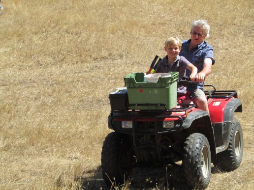 Just about to crash. Riding a Quad Bike at Sincair's