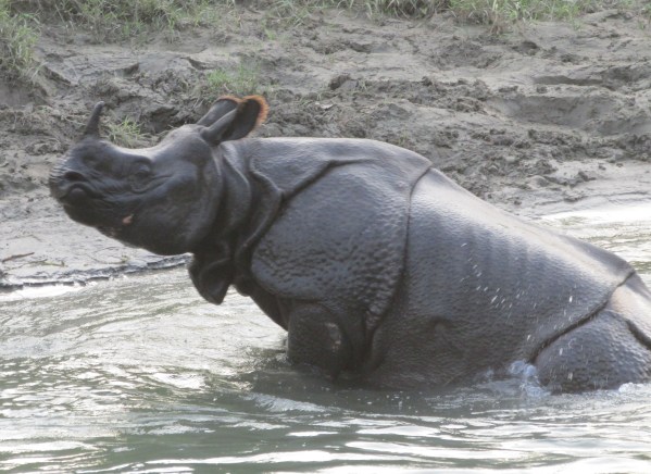 …If we don’t look after endangered species, there’ll be little left