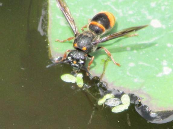 I was being very careful when I took this picture