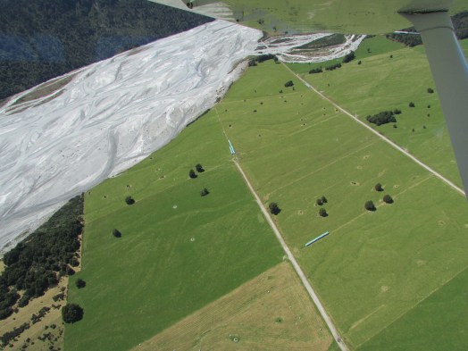 Suddenly the World was green