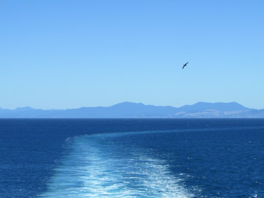 A fitting end as an Albatross does a little fly pass midway between the South (in the distance and North Island