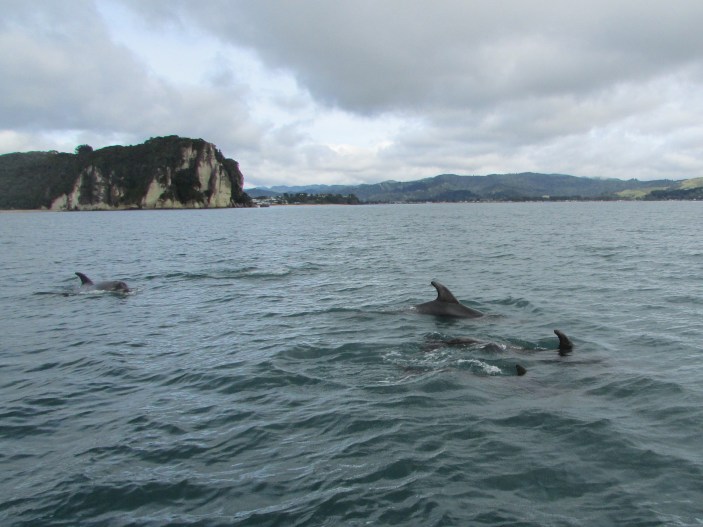 Everywhere you looked