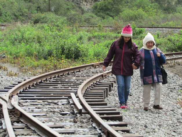 Two locals out for a walk