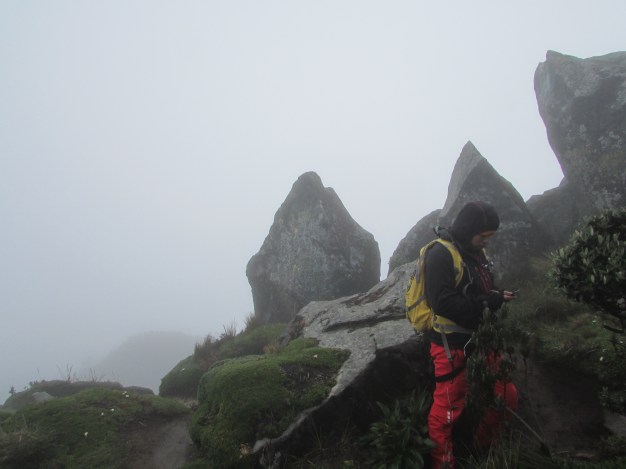 Hard to see Tupac on right