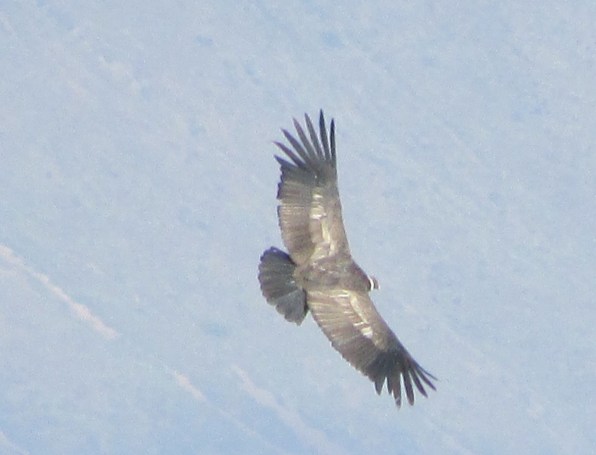 My former boss (with an o not an e) flying past and wishing us well